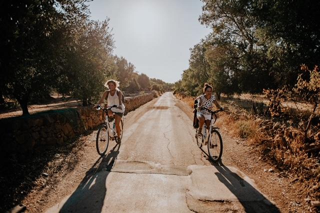Extra Virgin Bike Tour through Medieval Olive Groves