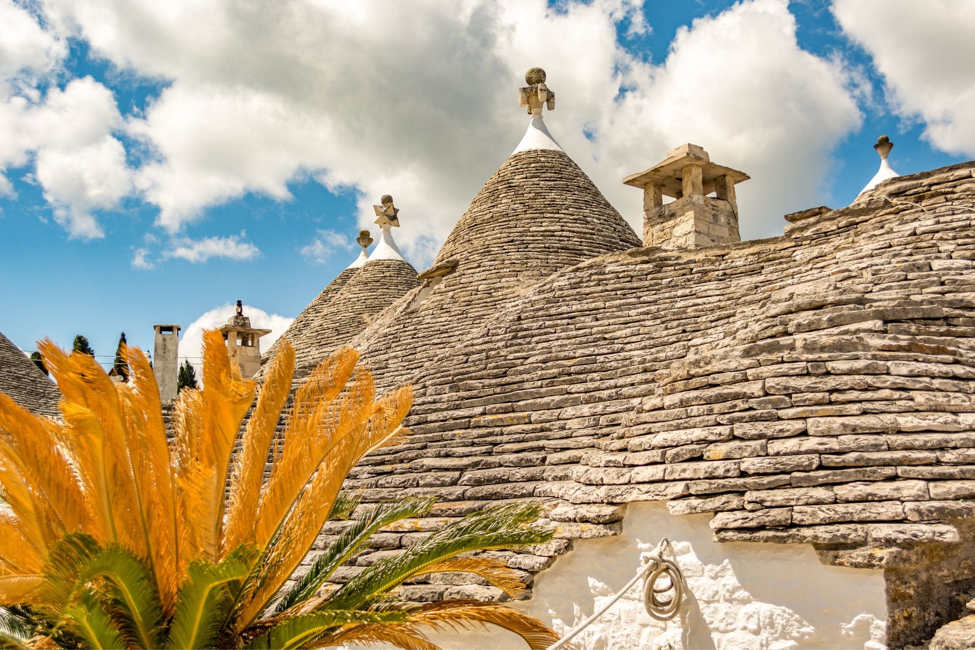 First time in Puglia? 5 things you need to know before coming to Puglia for the first time!
